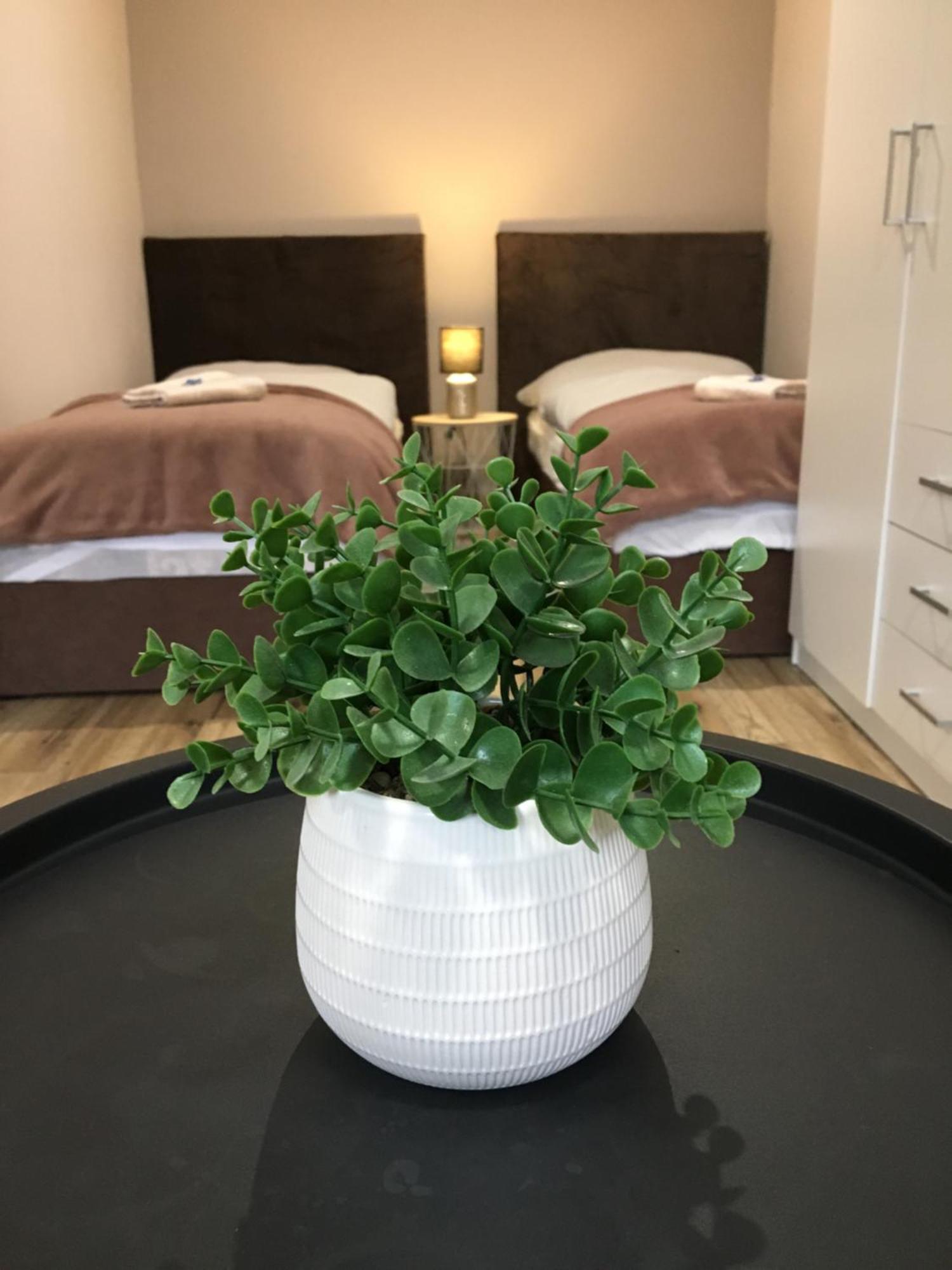 Apartament Tokajsky Domcek Mala Trna Zewnętrze zdjęcie